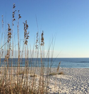 On the beach - Spacious 1BR/1.5BA Beach Condo/Low-Density Complex: Booking for Spring & Summer (Orange Beach)