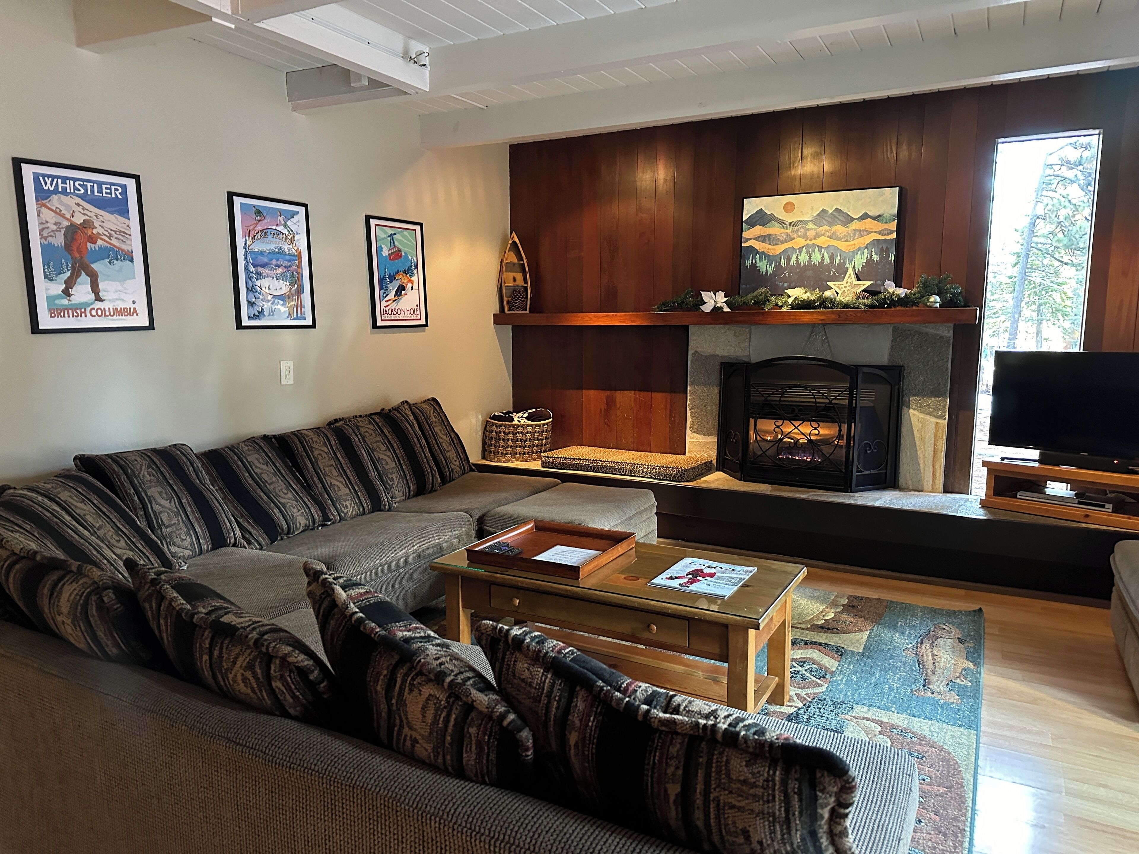 TV connectée, cheminée, lecteur de DVD, médiathèque