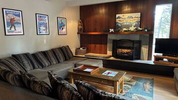 TV connectée, cheminée, lecteur de DVD, médiathÚque