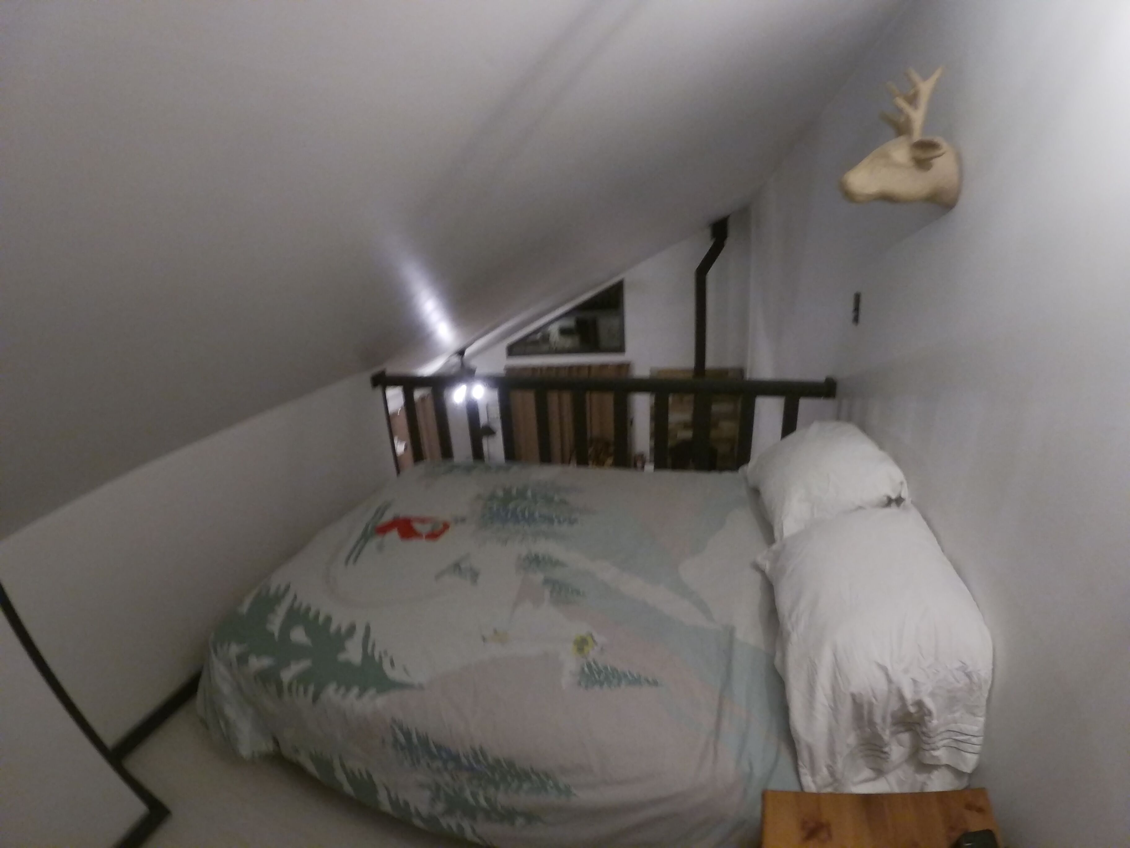 Een kleine, schemerige zolderkamer met een schuine wand, een bed met een beddegoed met dessin, een houten hoofdbord en een op de wand bevestigde hertenkop.
