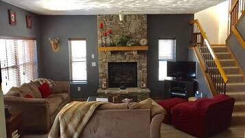 Télévision, cheminée, lecteur de DVD, livres