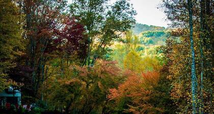 Awesome Cottage, Views, Waterfalls, Cute animals, streams, privacy, easy access