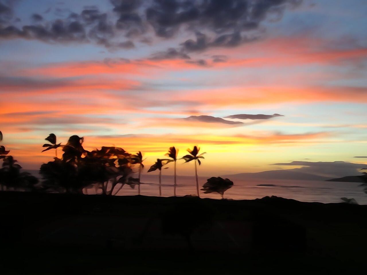 A sunset view with palm trees silhouetted against the sky.