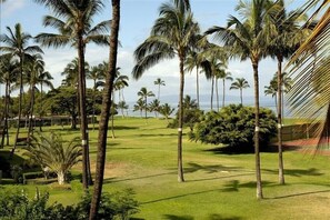Property grounds - 180° Oceanfront View!! Completely Remodeled - Luxury Condo! (Kihei)