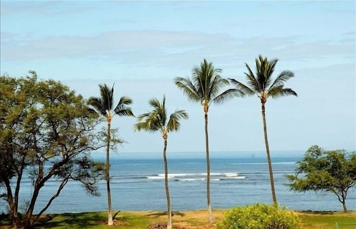 180° Oceanfront View!! Completely Remodeled - Luxury Condo!