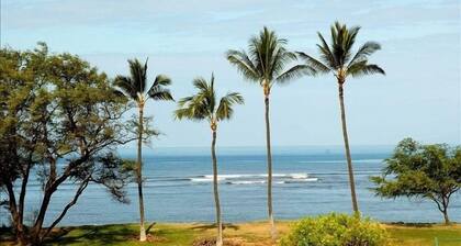 180° Oceanfront View!! Completely Remodeled - Luxury Condo!