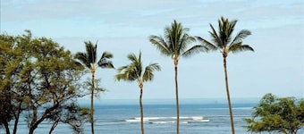 180° Oceanfront View!! Completely Remodeled - Luxury Condo!