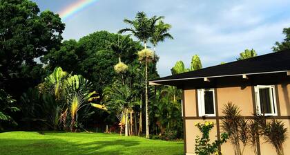 Special quiet, romantic, cozy home in a special place, Heavenly Hana. Lucky you!