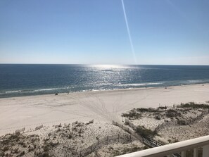 On the beach