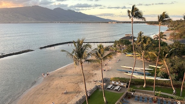 A beach resort with a swimming pool, lounge chairs, and palm trees.