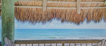 BEACH HOUSE WITH PRIVATE SALTWATER POOL & SPA + WALK TO BEACH 