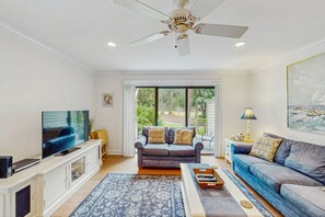 TV, DVD player, books