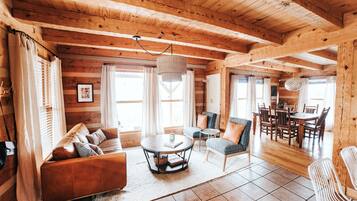 Televisor intel·ligent, llar de foc, videojocs i llibres