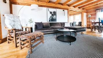 Televisor intel·ligent, llar de foc, videojocs i llibres