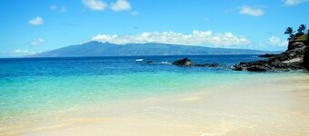 Paradise Found