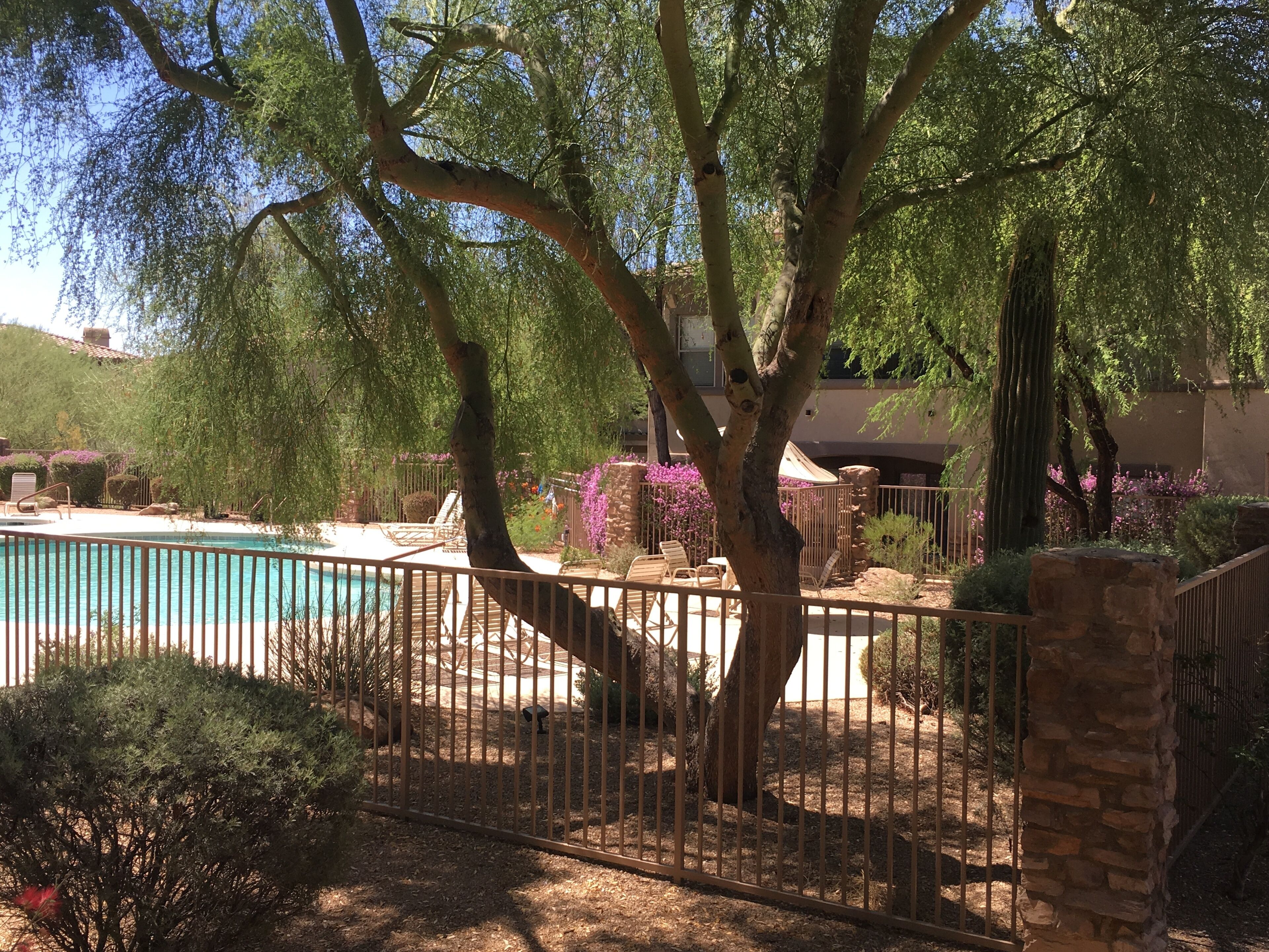 Beautiful North Scottsdale Condo, Peaceful and Private yet Close to Everything!