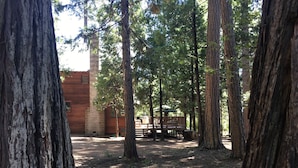 A forested area with a wooden cabin and a deck.
