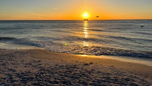 Spiaggia al tramonto con acque calme che riflettono il sole, una nave in lontananza e un uccello in volo.