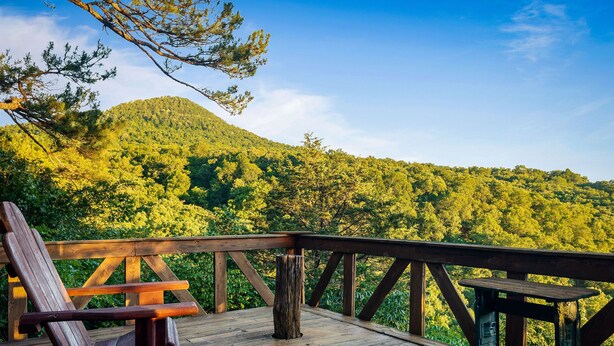 Une terrasse en bois avec un banc et une table, donnant sur une colline boisée.