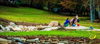 Wicklow Woods Studio, Beautiful Mountain views,cool streams and Waterfalls