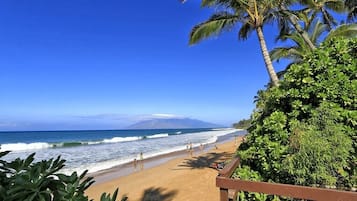Una playa con palmeras, olas del océano y cielo despejado.