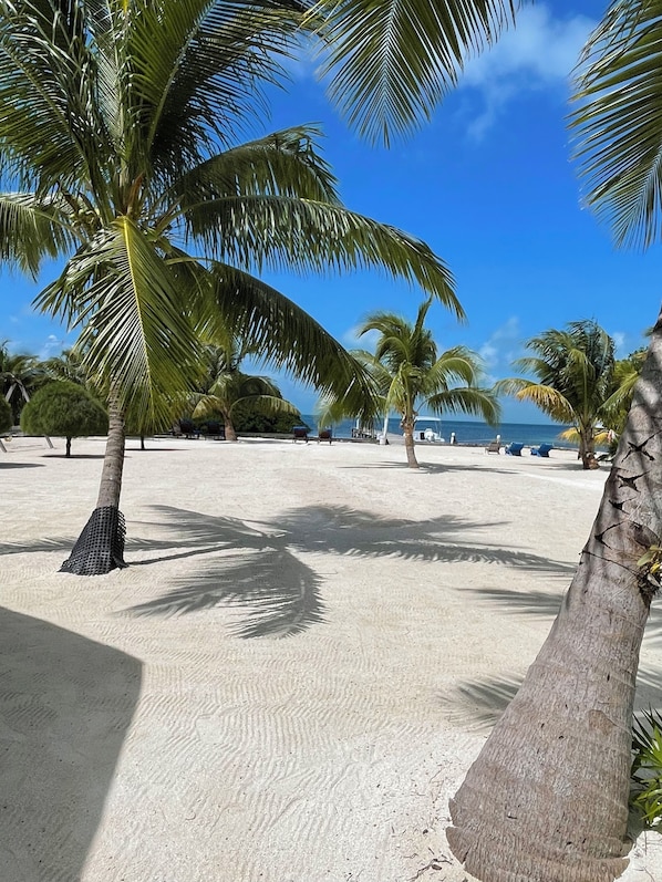 Plage, chaises longues