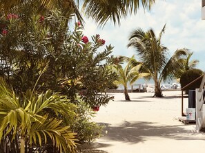 Property grounds - Bayblue Suite1 (Caye Caulker)