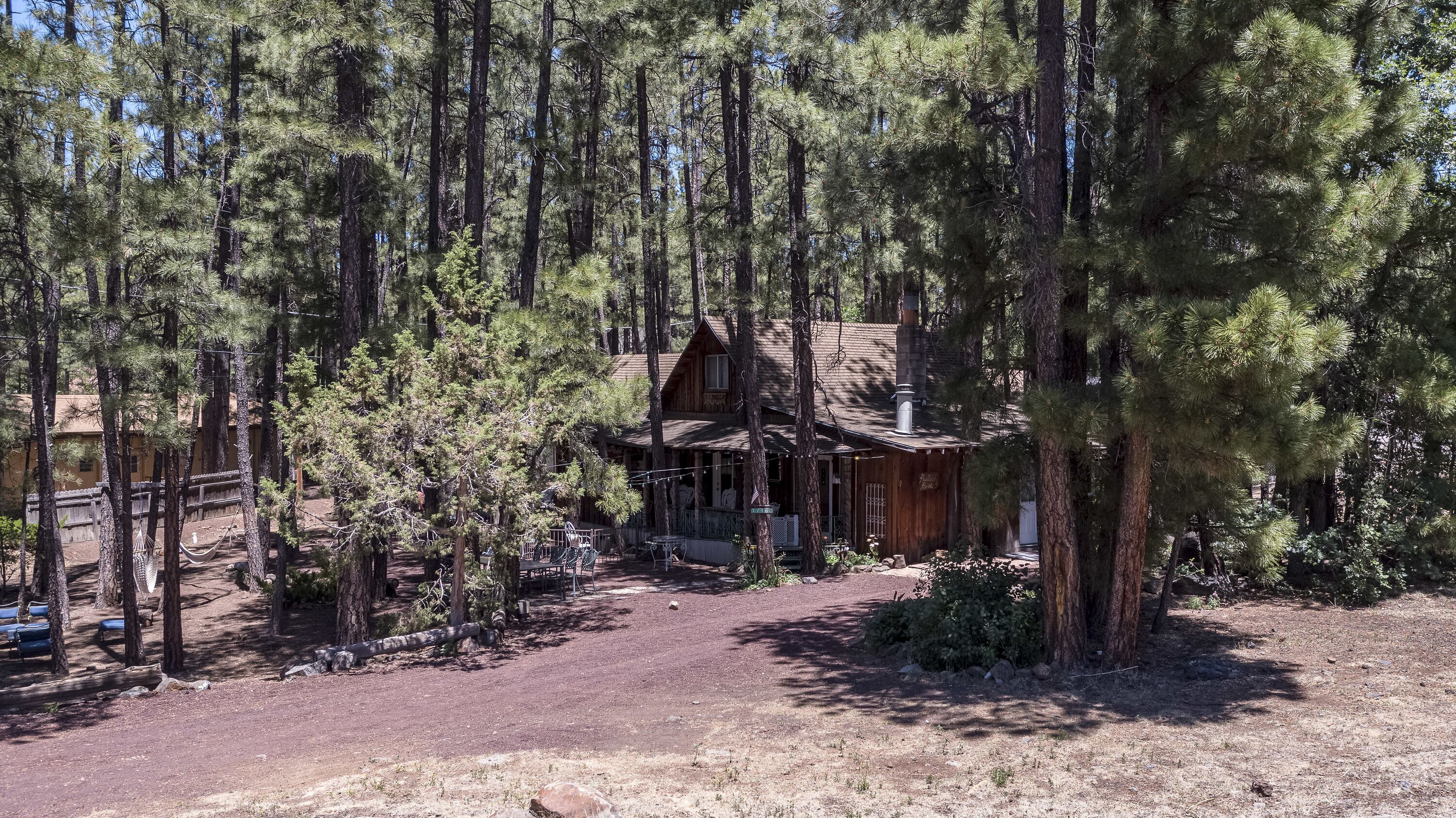 A rustic cabin surrounded by tall pine trees.