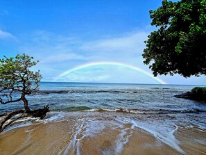 Ein Strand mit einem Regenbogen über dem Meer, ein Baum auf der linken Seite und ein klarer Himmel.