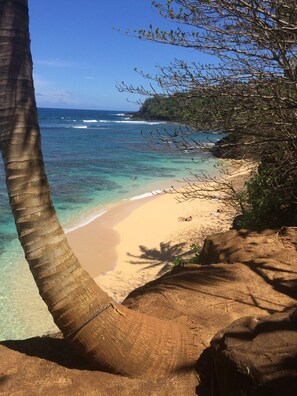 Chaises longues, serviettes de plage