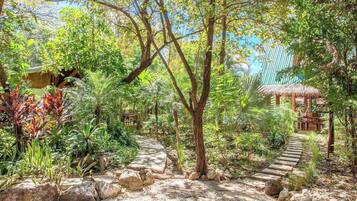 Un sentier de jardin bordé d’une végétation tropicale et agrémenté de structures en bois.
