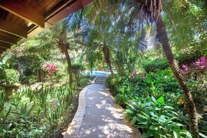 A pathway surrounded by lush greenery and palm trees, leading to a pool area. - Nosara Beach Compound- Steps from Guiones Beach (Nosara)