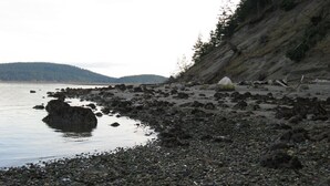 A rocky shoreline with a calm body of water, a grassy slope, and a distant hill. - ⚓️ Nautical Sea Cabin with Water View ⚓️ (Lopez Island)