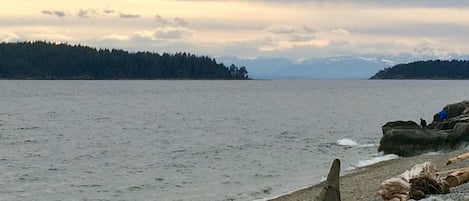在海滩、沙滩椅
