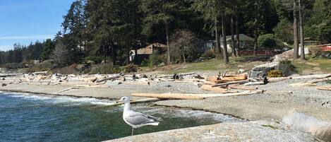 Sur la plage, chaise longue