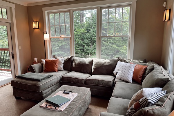 Smart TV, caminetto, lettore DVD, videoteca