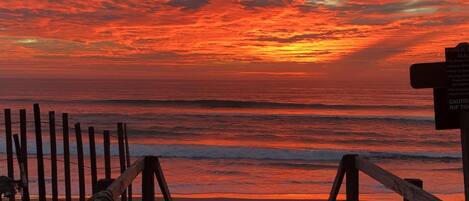 Plage, chaises longues