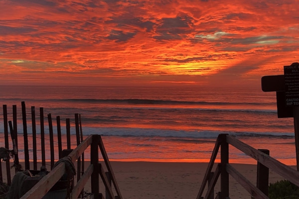 Plage, chaises longues