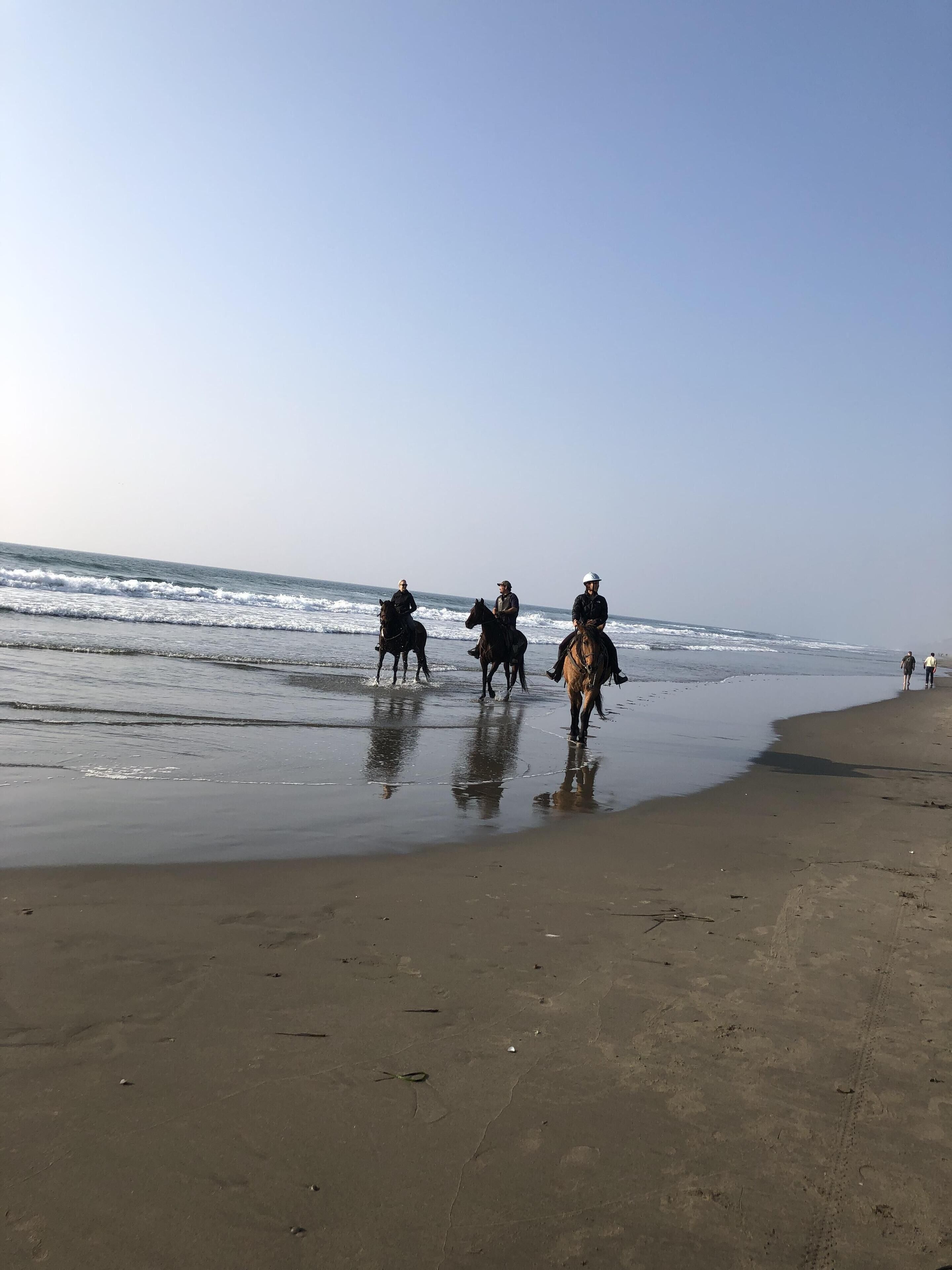 Ein Strand mit drei Pferden und Reitern, die am Ufer entlanggehen.