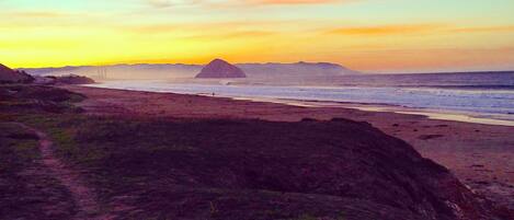 Beach nearby, sun loungers, beach towels