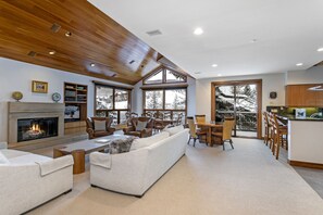 Smart TV, fireplace, DVD player, books