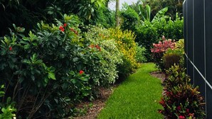 Un sentier de jardin bordé d’une végétation luxuriante et de plantes en fleurs.