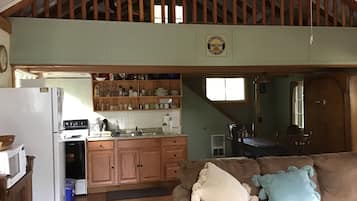 电视、壁炉、DVD 播放器