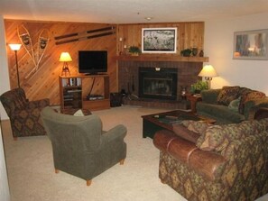 TV, fireplace, DVD player, video library