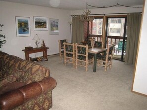 TV, fireplace, DVD player, video library
