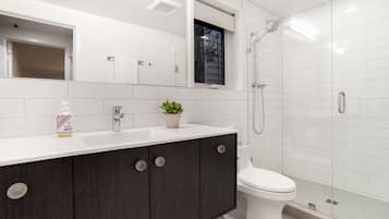 Shower, eco-friendly toiletries, hair dryer, towels