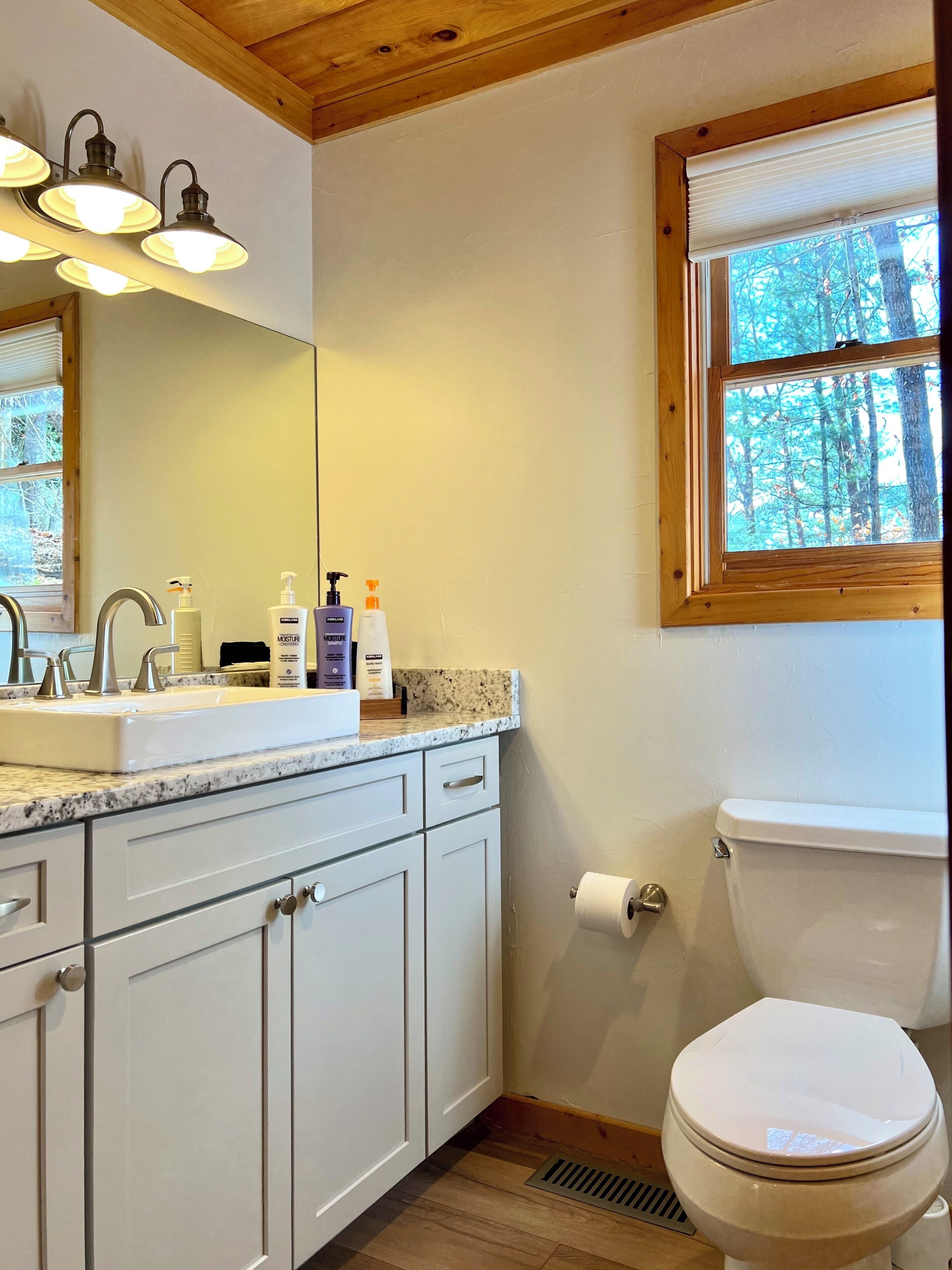 A bathroom with a white sink, vanity, and toilet. There are three bottles of lotion on the vanity, and a window with a view of trees.