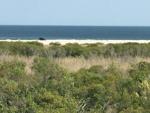 On the beach, sun loungers - EXCLUSIVE OCEANFRONT LUXURY PRIVATE RESIDENCE (Brigantine)