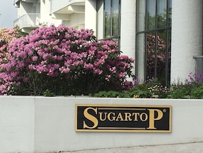 Exterior detail - SugarTop Resort - Indoor Pool & Hot Tubs --Money Saver-- Sugar Mountain, NC (Sugar Mountain)