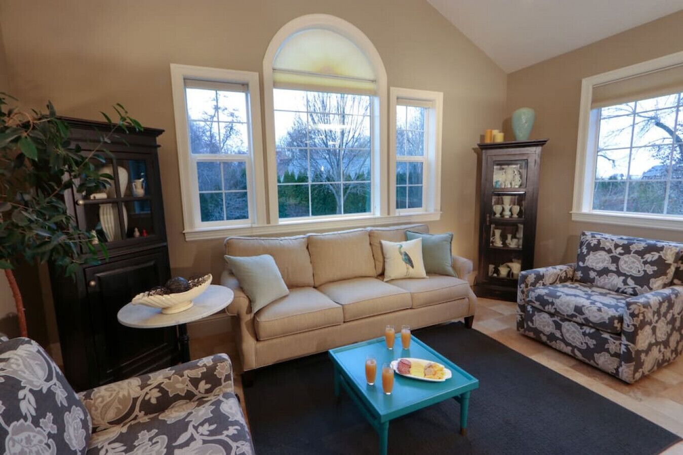 TV, fireplace, books